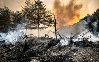 Оценка ущерба после стихийного бедствия в Челябинске: отчет оценщика